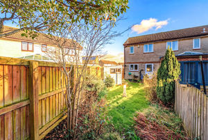 Photo 1- click for photo gallery